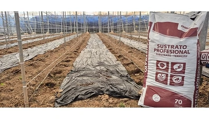 Foto de Nuevo sustrato para hoyos de plantaci�n de Gramoflor