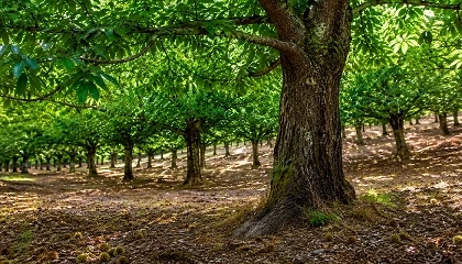 Foto de X Conferencia Ministerial de Forest Europe - Estocolmo: declaraci�n conjunta del sector forestal europeo