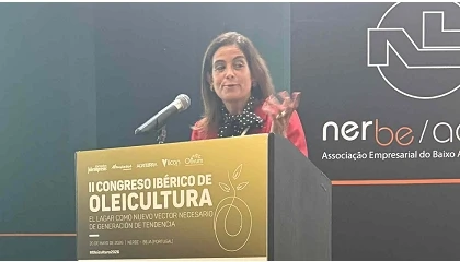 Foto de Congreso Ib�rico de Oleicultura: clausura de Lena Cavaco (CCDR Alentejo, IP)