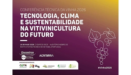 Foto de 'A Vinha do Futuro': galeria de fotos