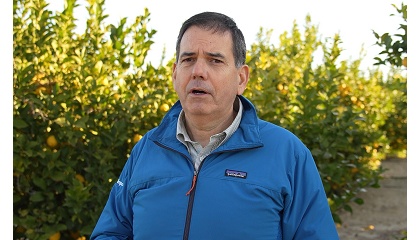 José Antonio García, director de la Asociación Interprofesional de Limón y Pomelo (Ailimpo)