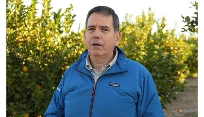 Foto de Entrevista a Jos� Antonio Garc�a, director de la Asociaci�n Interprofesional de Lim�n y Pomelo (Ailimpo)