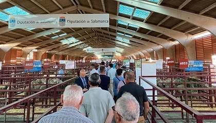 Foto de Oto�o de ferias ganaderas