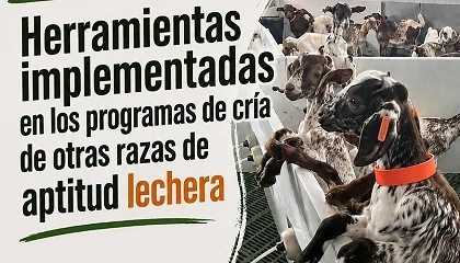 Foto de Los ganaderos de Florida se citan el 23 de junio en una jornada práctica de formación