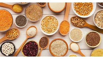 Foto de Las legumbres, uno de los alimentos que menos ha subido de precio en el último año: solo un 0,1%, según el INE