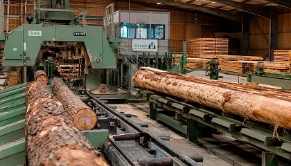 Foto de Las serrer�as europeas reclaman pol�ticas que refuercen la competitividad, el suministro de materia prima y la bioeconom�a