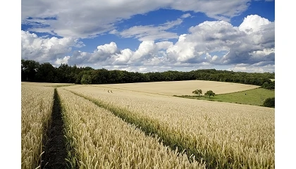 Foto de Bruselas aprueba las NTG y abre una nueva etapa en la agricultura europea