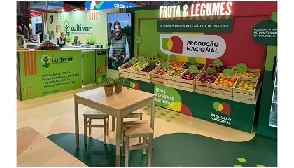 Foto de Pingo Doce lan�a programa 'Cultivar' para promover inova��o e sustentabilidade na produ��o nacional