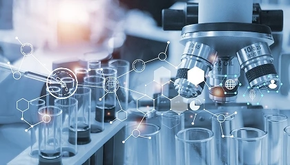 Foto de La UE presenta la hoja de ruta para la sustitución progresiva de la experimentación animal en ensayos de seguridad química