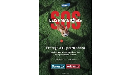 Foto de Elanco refuerza la concienciación con la campaña “SOS Leishmaniosis” y recuerda la importancia de la prevención durante todo el año