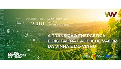 Foto de Vila Real recebe workshop sobre transi��o energ�tica e digital no setor vitivin�cola