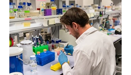 Foto de Una �llave molecular� permite pausar la fotos�ntesis para que las plantas acumulen sustancias nutritivas