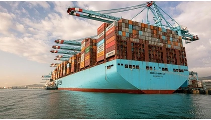 Foto de El Puerto de Algeciras roza los 2 millones de TEU hasta mayo y refuerza su posici�n como el m�s eficiente de Europa
