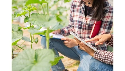Foto de Claves de las ayudas para explotaciones agrarias de titularidad compartida en 2026