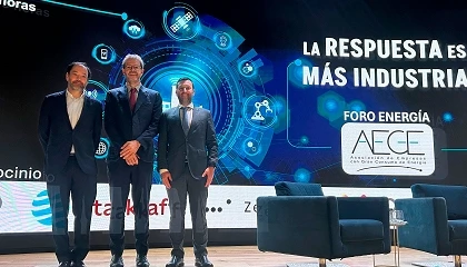Foto de La industria electrointensiva reclama medidas urgentes contra los sobrecostes energ�ticos