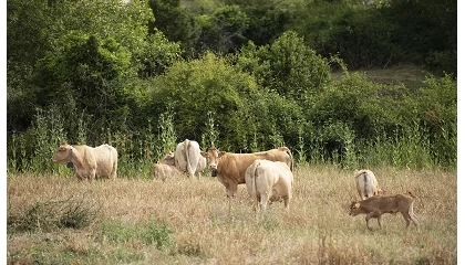 Foto de Navarra inyecta casi 120 millones al campo y refuerza un sector que aporta el 6,5% del PIB