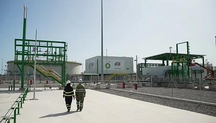 Foto de bp e Iberdrola analizan oportunidades para aumentar la producción de hidrógeno verde en Castellón
