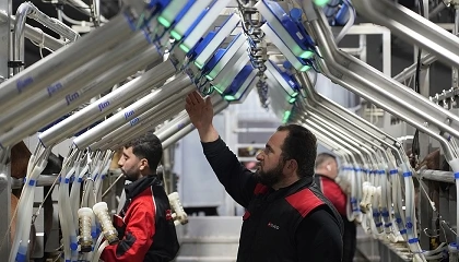 Foto de Tecnología FLM: la modernización inteligente que transforma las salas de ordeño de caprino
