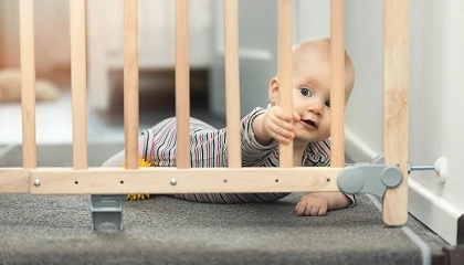 Foto de La categoría de seguridad en el hogar evoluciona hacia soluciones más integradas