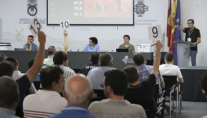 Foto de El precio medio de la subasta de Manchega en Fercam se queda en 675 euros