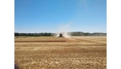 Foto de Las organizaciones agrarias muestran su 