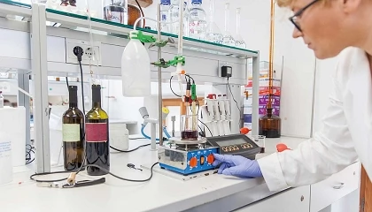 Foto de Los subproductos de la uva muestran potencial para mejorar el perfil sensorial de los vinos