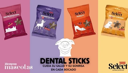 Foto de Picart crea Select Dental Sticks, premios nutritivos para proteger el bienestar y la salud dental de los perros
