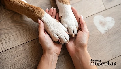 Foto de Kiwoko y Royal Canin convierten los “corazones” en alimento para apoyar a los animales que esperan una nueva oportunidad
