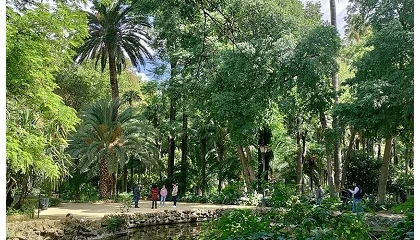 Foto de Andaluc�a en Flor impulsa la mejora de los espacios verdes y reconoce la excelencia de los municipios andaluces