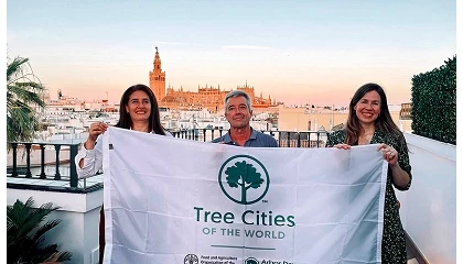 Foto de Sevilla recibe la distinci�n Tree Cities of the World por su gesti�n del arbolado urbano