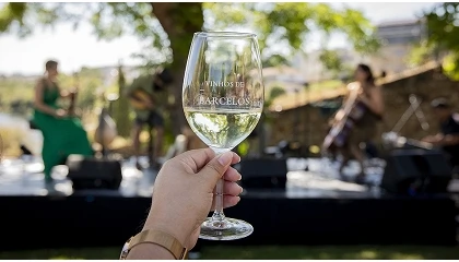 Foto de Barcelos Entre Vinhos estreia-se com milhares de visitantes e refor�a aposta nos Vinhos Verdes