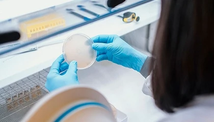Foto de Nuevas herramientas biol�gicas para reducir �Campylobacter� en producci�n av�cola