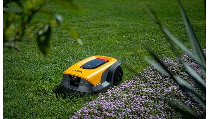 Foto de El mulching contribuye a mantener un c�sped m�s saludable y resistente al calor