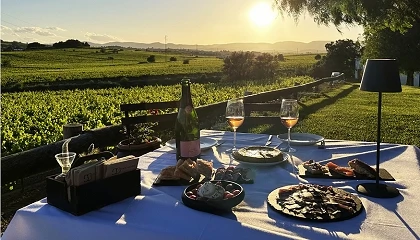 Foto de El enoturismo se consolida como canal de venta para las bodegas catalanas