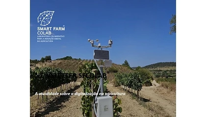 Foto de SFCOLAB integra projeto europeu Horizon