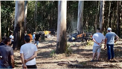 Foto de Galiforest Abanca bate su r�cord expositivo y roza los 9.200 visitantes