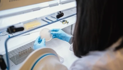 Foto de Azti y la EHU avanzan en el uso de fagos para reducir Campylobacter en producción avícola