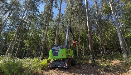Foto de GREEN-TEC TH3: Eficiencia y versatilidad para la gestión forestal moderna