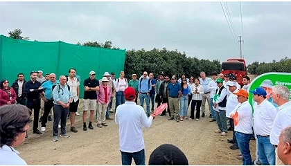 Foto de Empresas líderes del sector confirman en Perú el potencial de la nueva generación de aguacates y patrones de Green Motion
