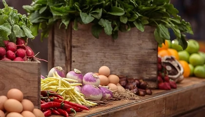 Foto de Portugal lidera �ndice global de resili�ncia dos sistemas alimentares