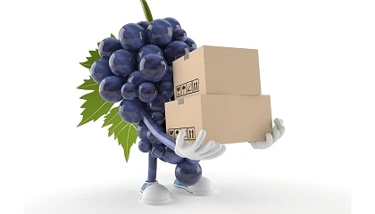 Foto de El vino espa�ol afronta una mayor presi�n en EE UU por la ca�da del consumo y la incertidumbre comercial