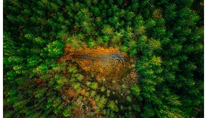 Foto de COPADE reclama situar los bosques en el centro de la Agenda 2030 durante el Foro Político de Alto Nivel de la ONU
