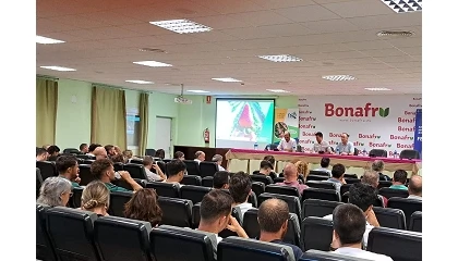 Foto de Más de 170 profesionales conocen los resultados de ensayos de variedades de fresa del Ifapa durante la campaña 2025/2026