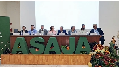 Foto de El sector hortofrutícola almeriense supera los 3.916 millones de valor de producción a pesar de la “tormenta perfecta” de este curso