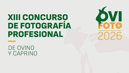 Foto de Abierto el plazo para participar en OVIFOTO 2026, el concurso que pone el foco en el ovino y el caprino
