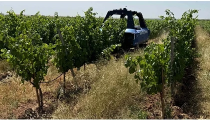 Foto de Vitibot abre camino a la viticultura rob�tica
