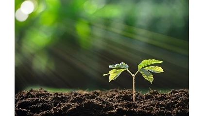 Foto de La plataforma CADI anticipa c�mo cambiar� hasta finales de siglo la capacidad del planeta para producir alimentos