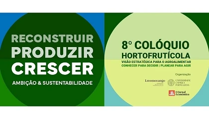 Foto de Lusomorango promove VIII Col�quio Hortofrut�cola dedicado ao futuro sustent�vel da agricultura