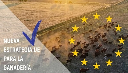 Foto de Bruselas reorienta su política ganadera y refuerza el papel estratégico de las producciones animales