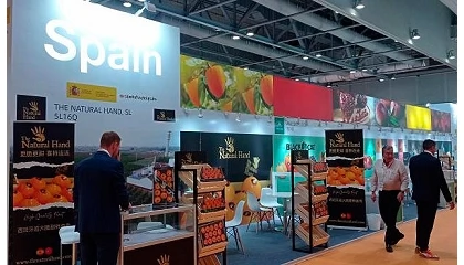 Foto de MAPA y FEPEX renuevan su convenio para impulsar la promoción de frutas, hortalizas, flores y plantas en ferias internacionales